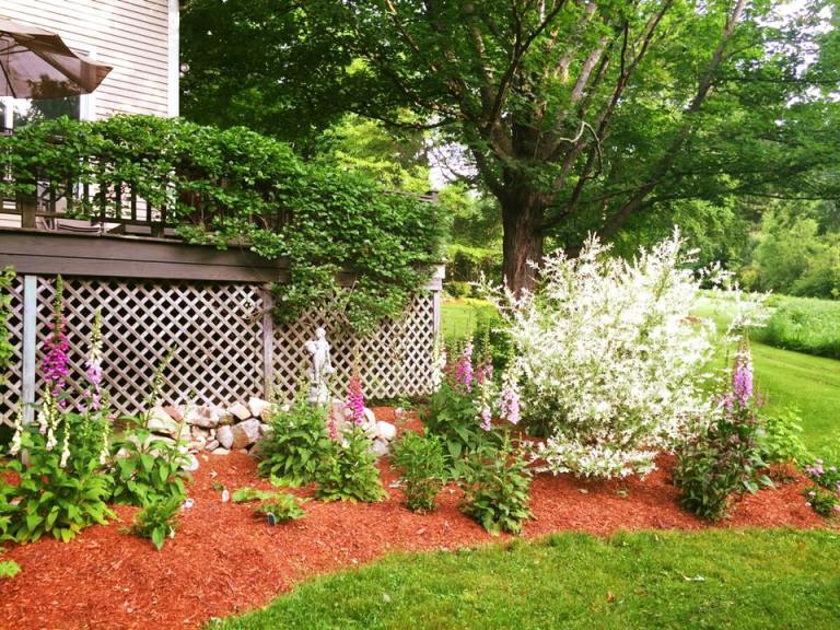 13412946_10102061528911441_7345175580664478117_n