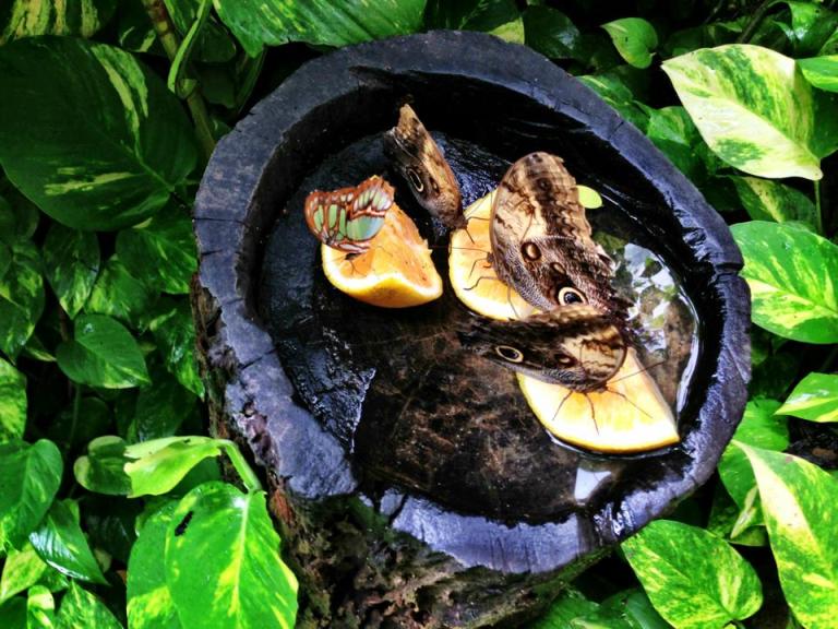 1070115_10100724770545921_574718827_n